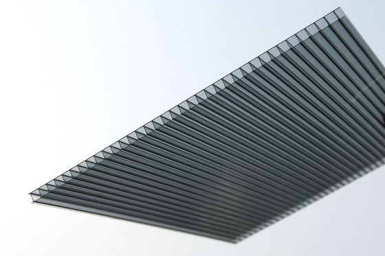 La toiture légère de polycarbonate couvre avec le matériel de /Makrolon