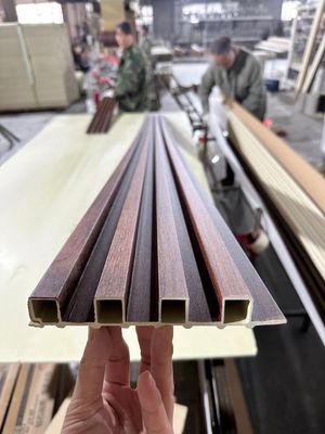 Panneaux muraux creux de 23 mm d'épaisseur en Wpc