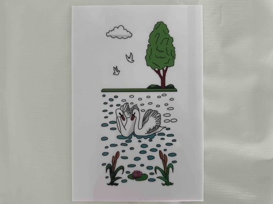 décorada lámina de poliestireno para México impression couleur planches de poliestireno blanc