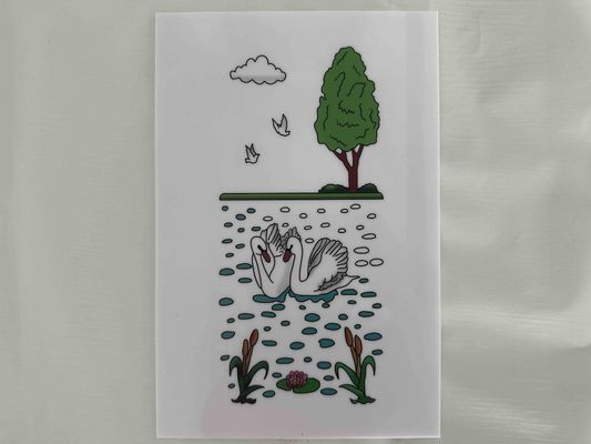 Feuilles de polystyrène blanc sur mesure pour le Mexique, avec impression Decorada Lámina De Poliestireno Color, utilisées dans l'emballage et l'isolation