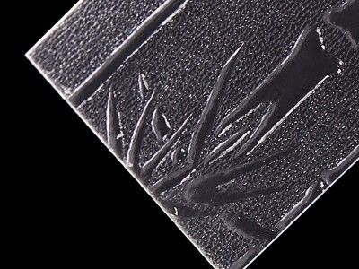 2 mm de texture feuilles de polystyrène pour porte de douche divers motifs feuilles PS claires pour cloisons